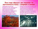 Леса мира образуют два огромных по протяженности пояса – северный и