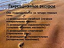 Рекреационные ресурсы