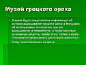 Музей грецкого ореха