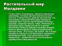 Растительный мир Молдавии