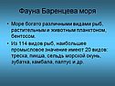 Фауна Баренцева моря