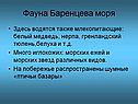 Млекопитающие