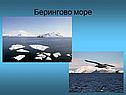 Берингово море