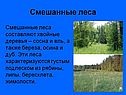 Смешанные леса