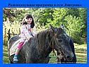 Катание на лошадях