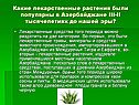 Лекарственные растения