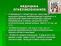 Медицина огнепоклонников