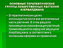 Вегетативные части растений