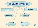 Виды миграций