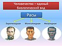 Население Земли