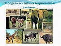 Национальные парки Африки