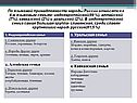 По языковой принадлежности народы России относятся к 4-м языковым