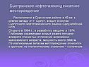 Быстринское нефтегазоконденсатное месторождение