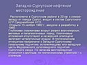 Западно-Сургутское нефтяное месторождение