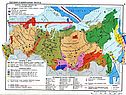 Нефтяная промышленность