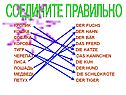 Соедините правильно