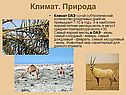 Климат