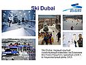 Ski Dubai