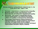 Графический диктант