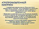 АГРОПРоМЫШЛЕННЫЙ КОМПЛЕКС