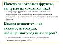 Фрукты