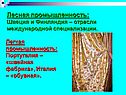 Лесная промышленность