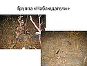 Охрана окружающей среды Великобритании