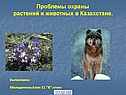 Проблемы охраны растений и животных в Казахстане