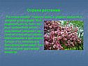 Охрана растений