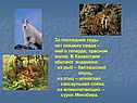 Эндемики
