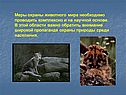 Меры охраны
