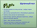 Шуточный тест