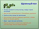Кострище