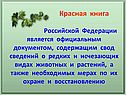 Красная книга Российской Федерации
