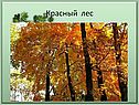 Красный лес