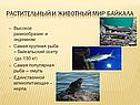 Растительный и животный мир Байкала
