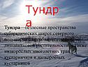 Тундра