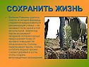 Сохранить жизнь