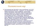 Растительный мир