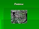 Лианы