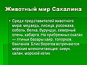 Животный мир Сахалина