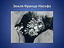 Земля Франца-Иосифа