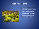 Растительность