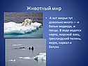 Животный мир