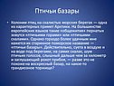 Птичьи базары