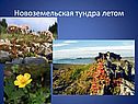 Острова Арктики
