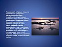 Поверхность островов покрыта арктической тундровой растительностью