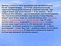 Ильмень относится к числу крупнейших озер европейской части России