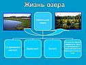 Жизнь озера
