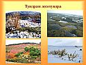 Тундра и лесотундра